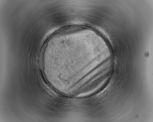 X0000098020930200804181158