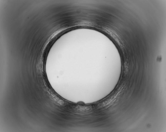 X0000098020931200804181158