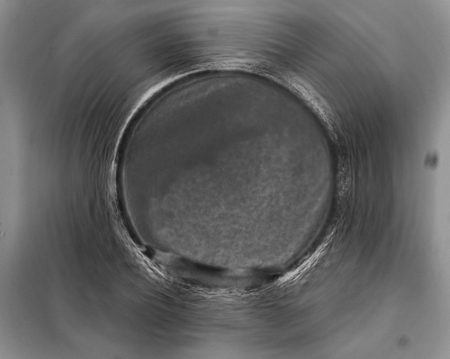X0000098020932200804181158