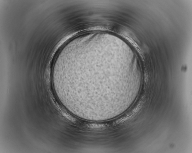 X0000098020933200804181158