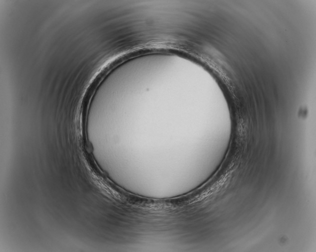 X0000098020934200804181158