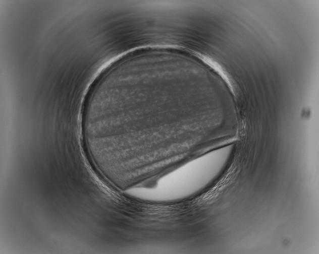 X0000098020935200804181158