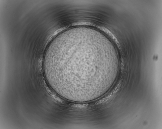 X0000098020937200804181158