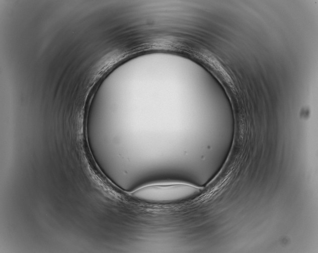 X0000098020938200804181158