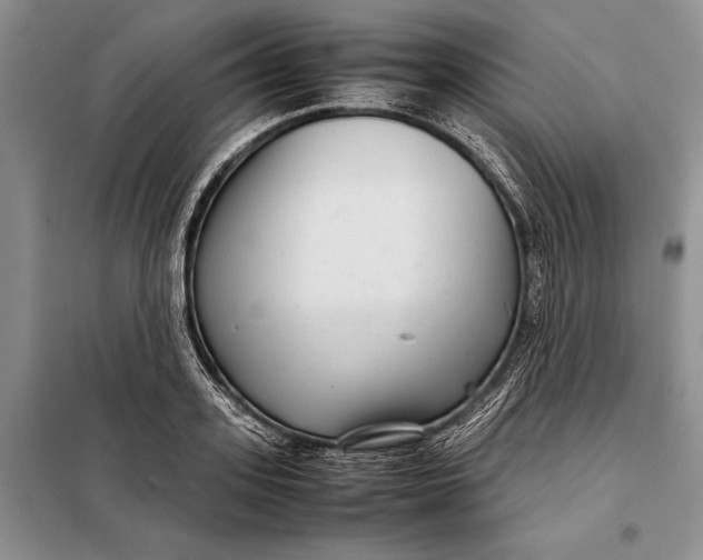 X0000098020939200804181158
