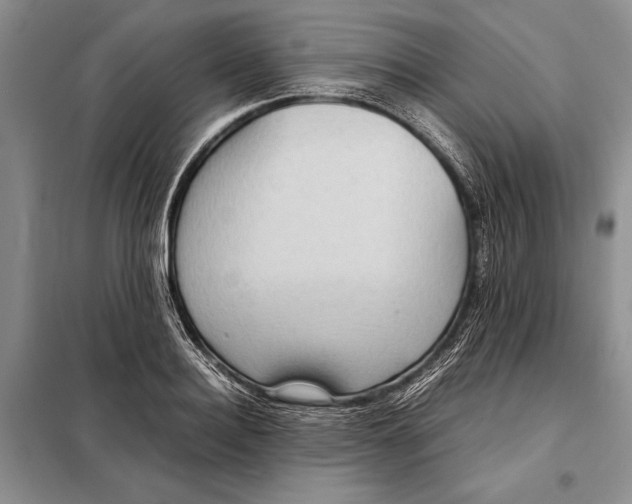 X0000098020940200804181158