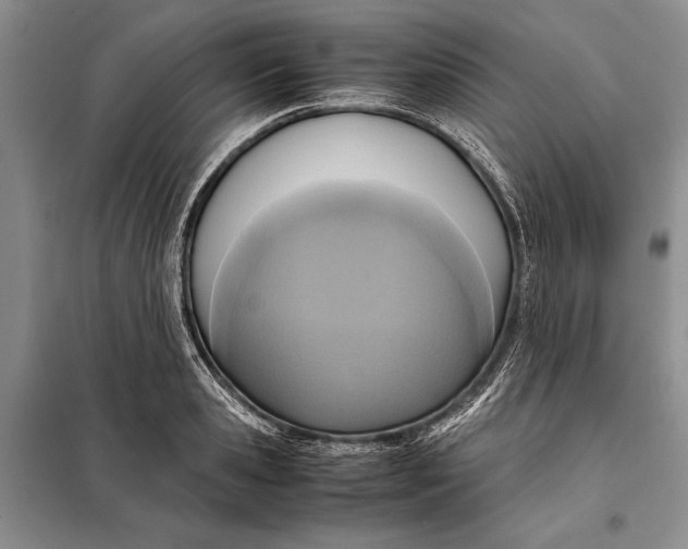 X0000098020941200804181158