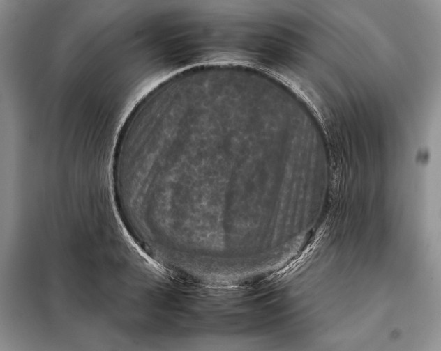X0000098020943200804181158