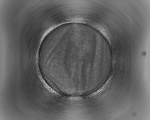 X0000098020944200804181158