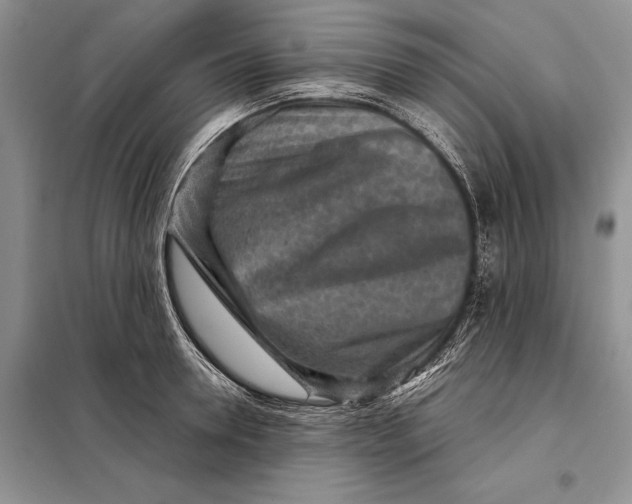 X0000098020946200804181158