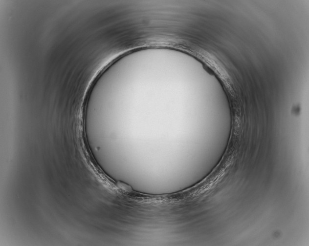 X0000098020948200804181159