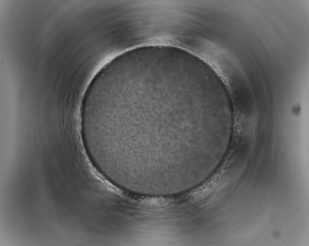 X0000098020950200804181159