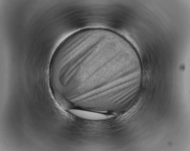 X0000098020951200804181159