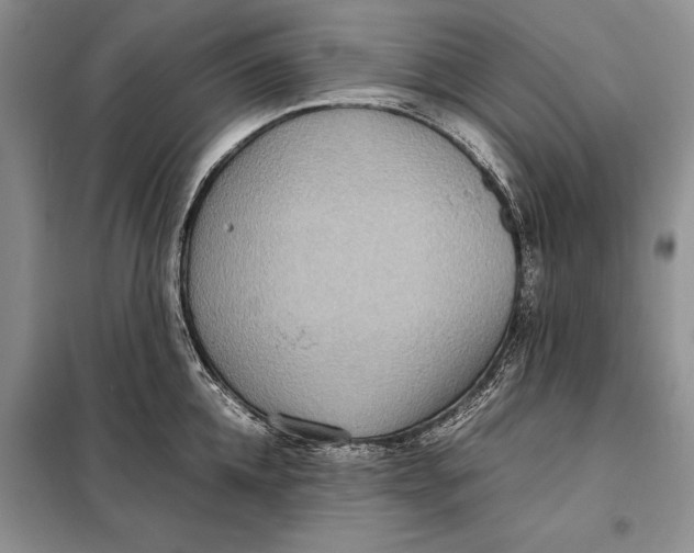 X0000098020952200804181159