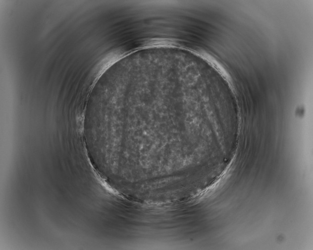X0000098020953200804181159