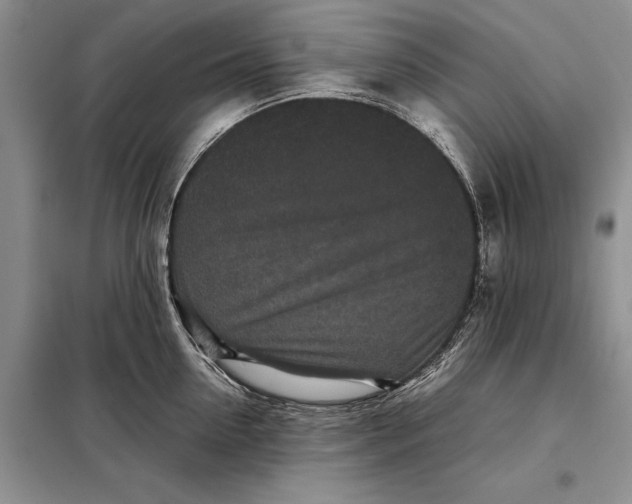 X0000098020954200804181159