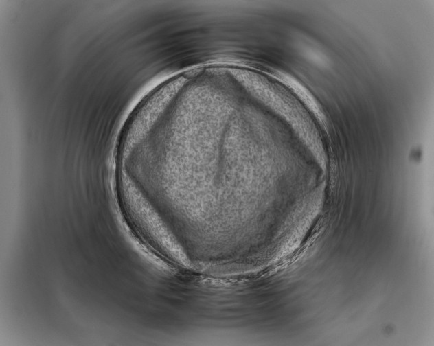 X0000098020955200804181159