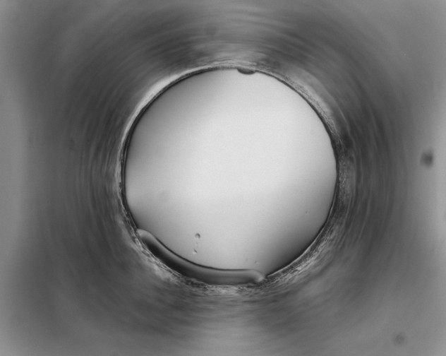 X0000098020956200804181159