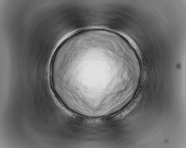 X0000098020957200804181159