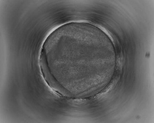 X0000098020959200804181159