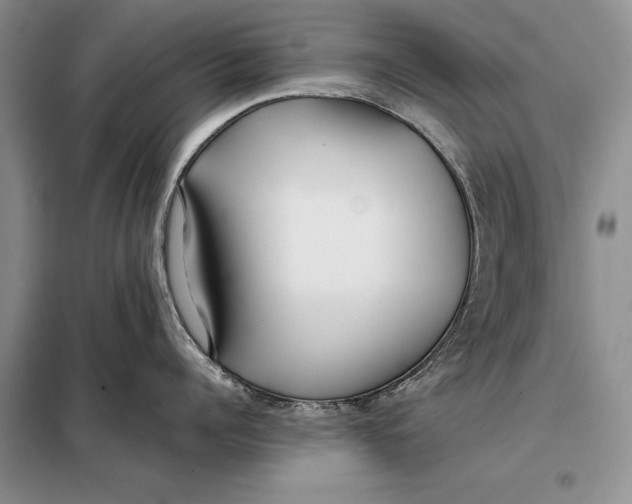 X0000098020960200804181159