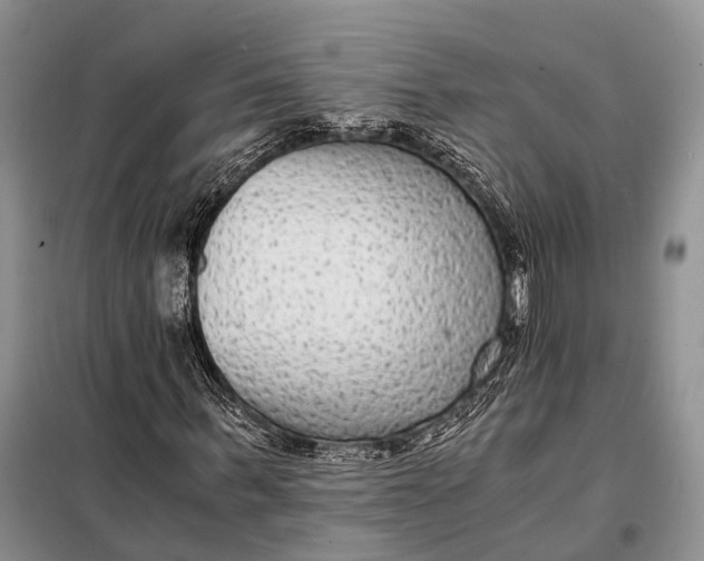 X0000098020963200804181158