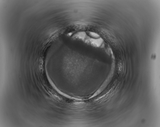 X0000098020964200804181158