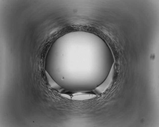 X0000098020965200804181158