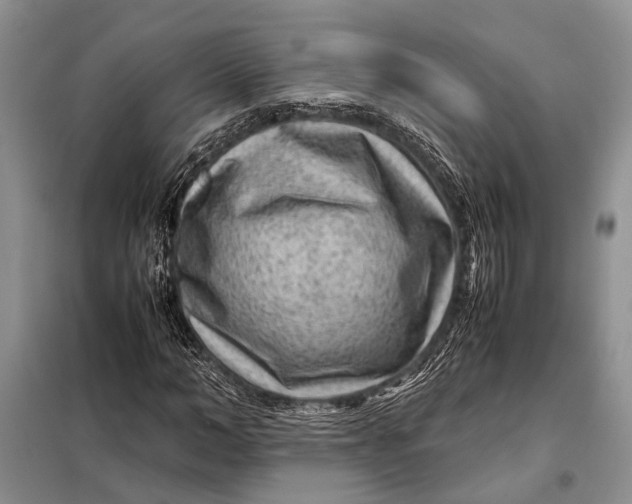 X0000098020966200804181158