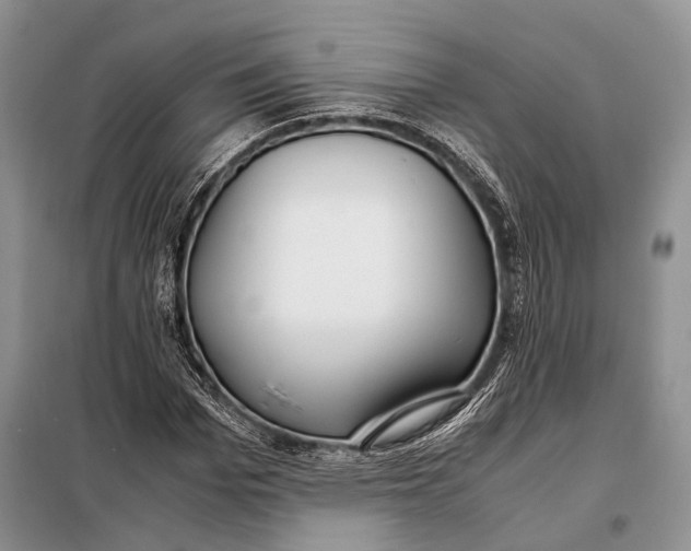 X0000098020969200804181158