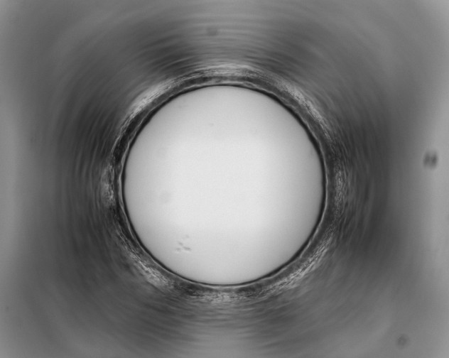 X0000098020970200804181158