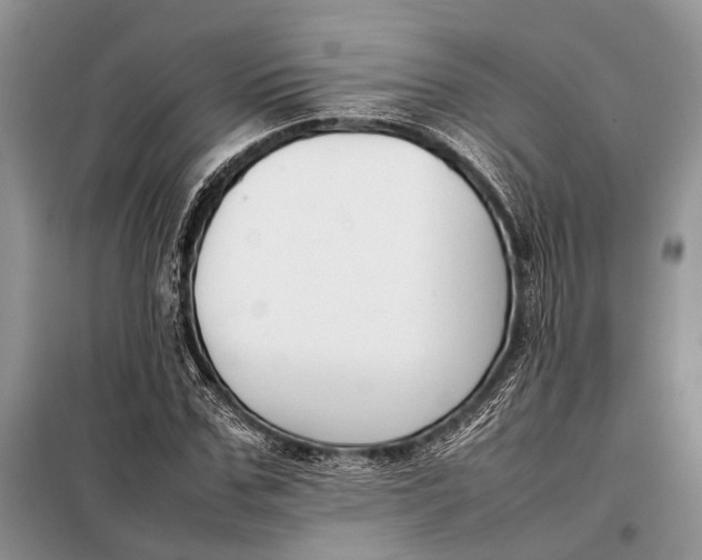 X0000098020971200804181158