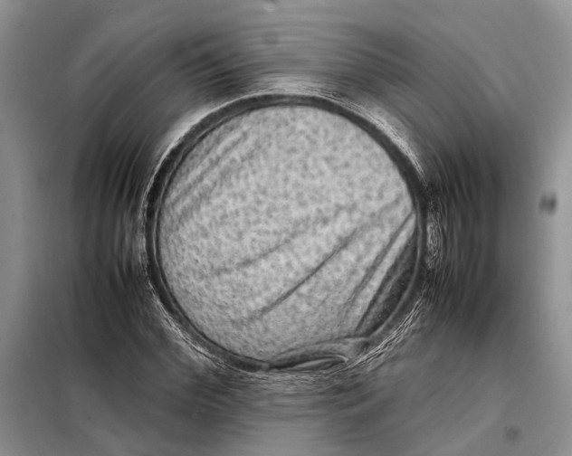 X0000098020972200804181158