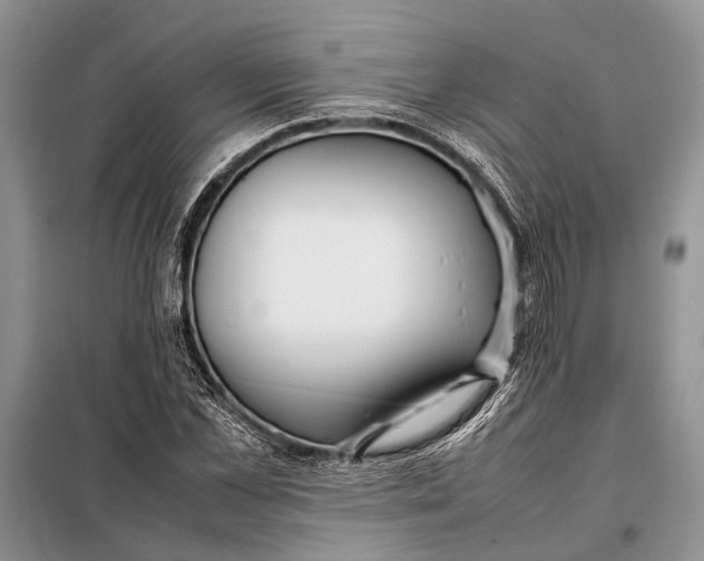 X0000098020973200804181158