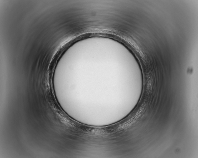 X0000098020974200804181158