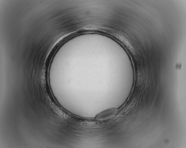 X0000098020976200804181158