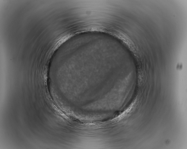 X0000098020977200804181158
