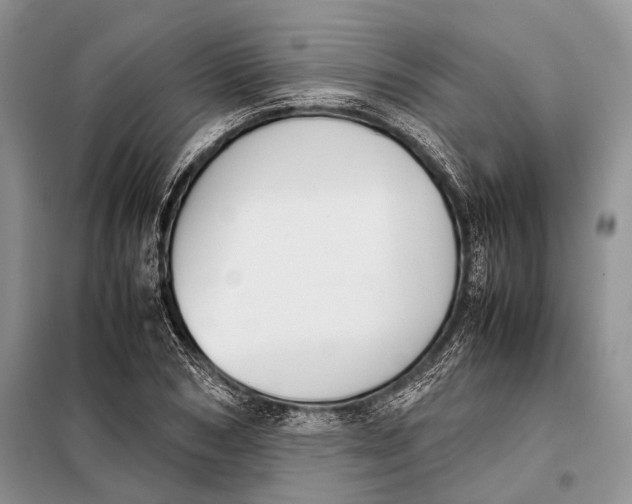 X0000098020978200804181158