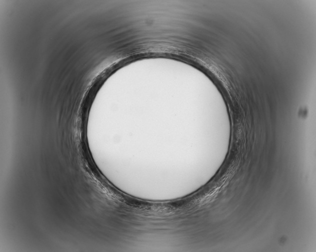 X0000098020979200804181158