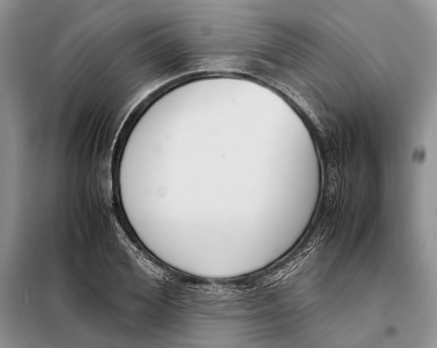 X0000098020980200804181158