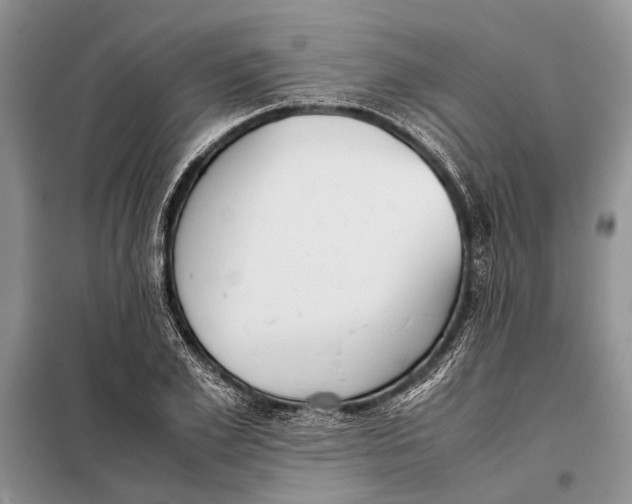 X0000098020981200804181158