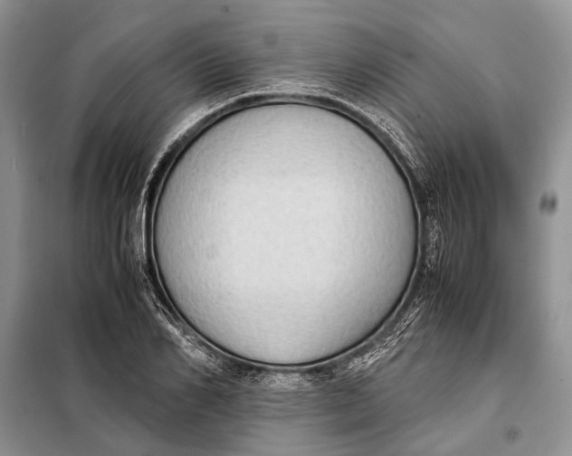 X0000098020982200804181158