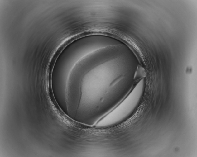 X0000098020984200804181158