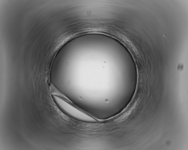 X0000098020985200804181158