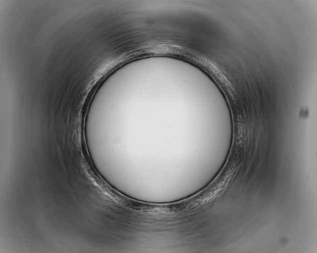 X0000098020986200804181157