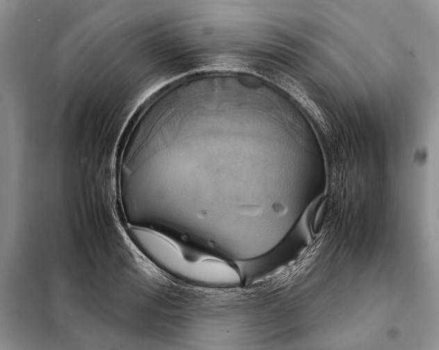 X0000098020988200804181157