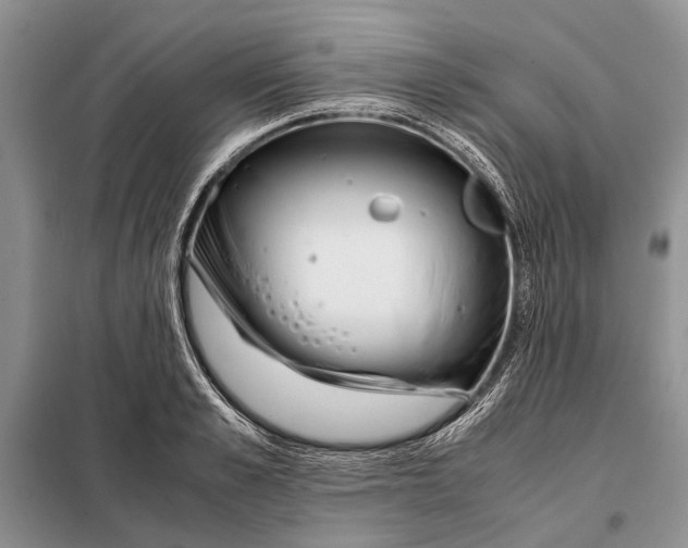 X0000098020989200804181157