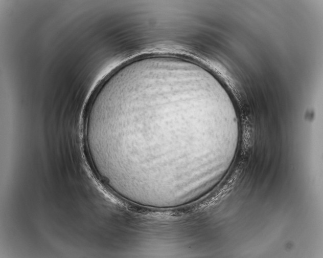 X0000098020990200804181157