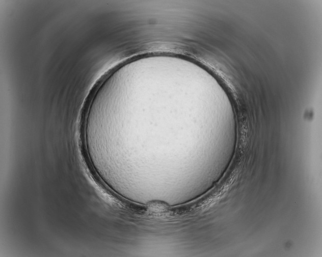 X0000098020991200804181157