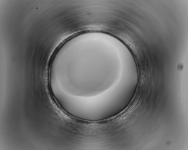 X0000098020992200804181157